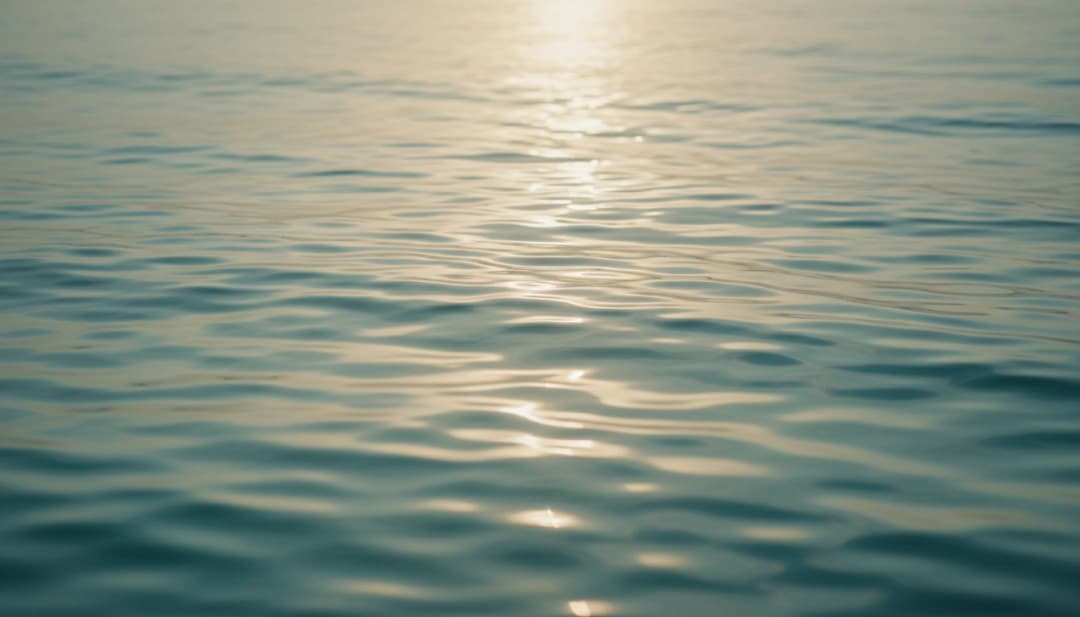 Finding calm and clarity in your healing journey